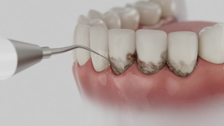 Reliable Dental contractor in Sterling Ranch, CO by Dentist Open Now
